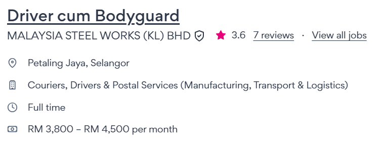 Driver cum Bodyguard